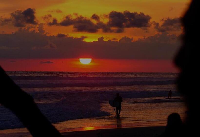 Cabinas Playa Surf Hostel