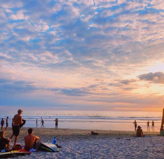 Cabinas Playa Surf Hostel