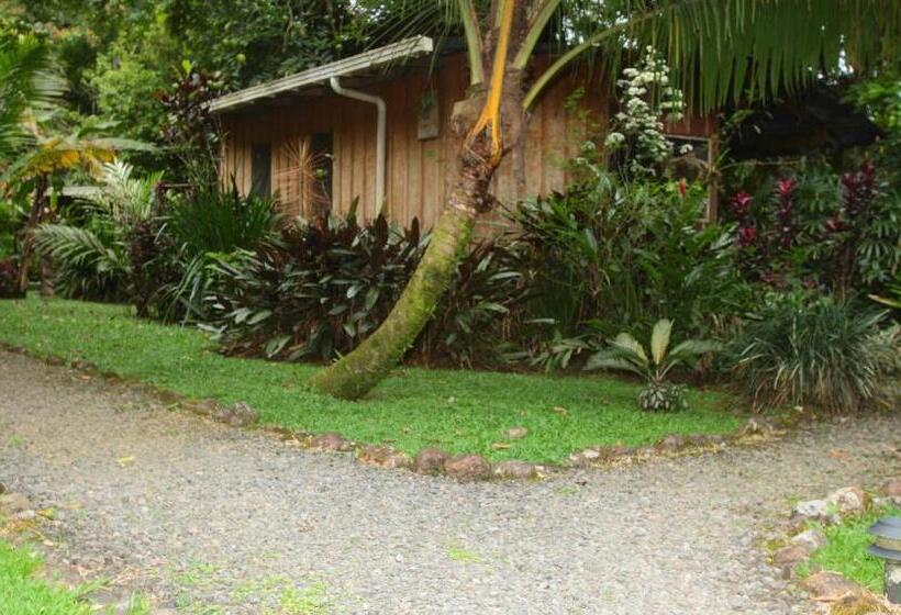 Casa Rio Blanco Eco Friendly B&b
