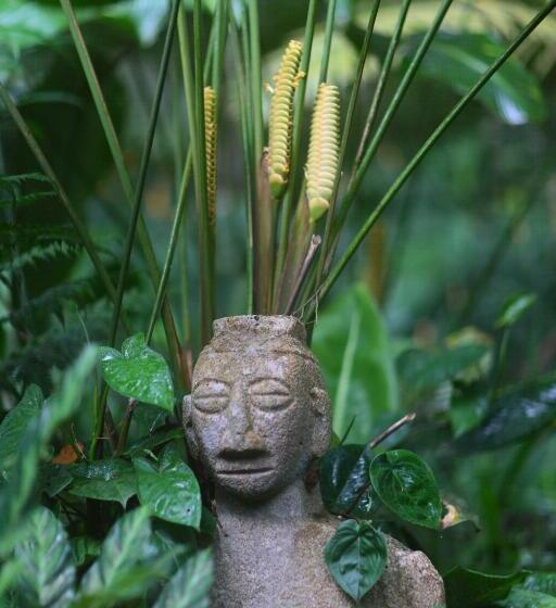 Casa Rio Blanco Eco Friendly B&b