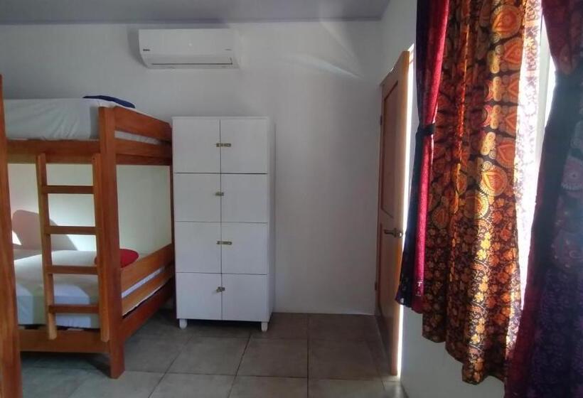 Casajungla Hostel