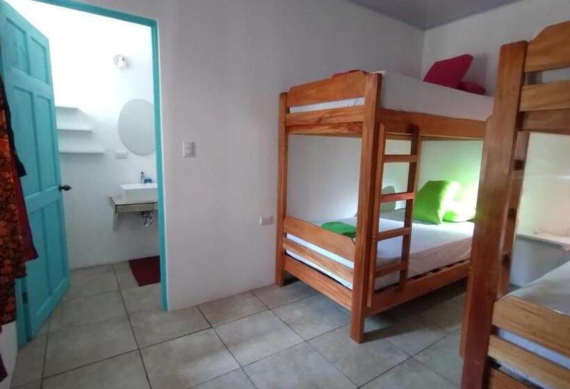 Casajungla Hostel