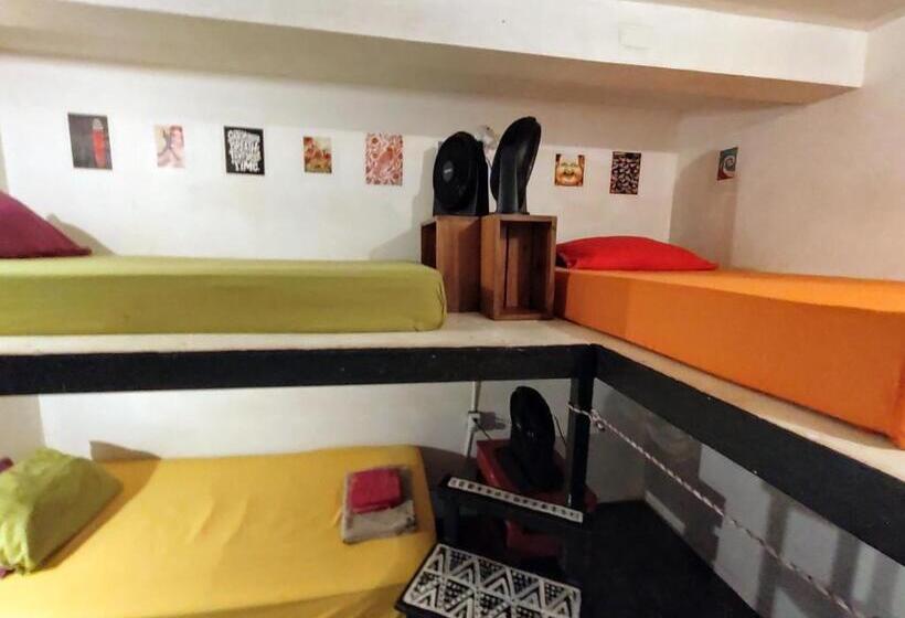 Casajungla Hostel