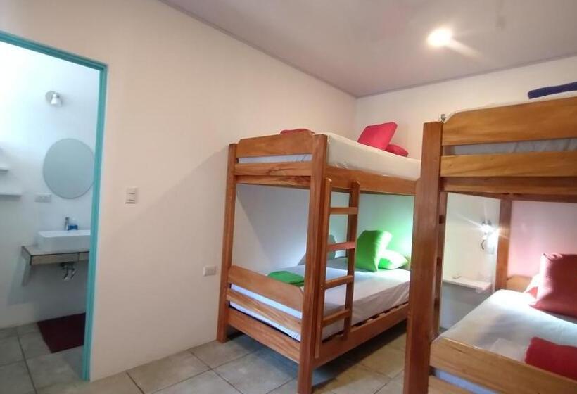 Casajungla Hostel