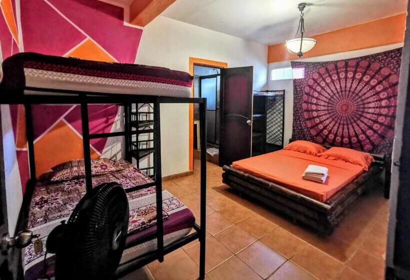 Cool Vibes Beach Hostel