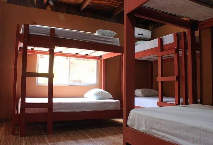 Coral Reef Surf Hostel And Camp