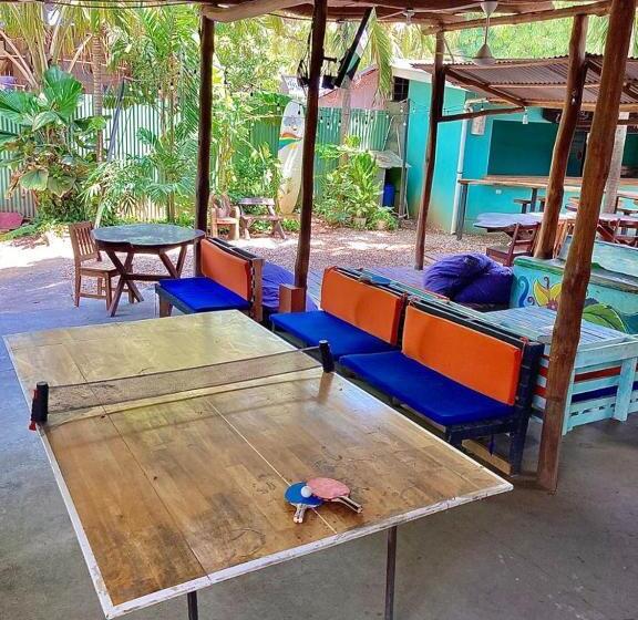 Coral Reef Surf Hostel And Camp