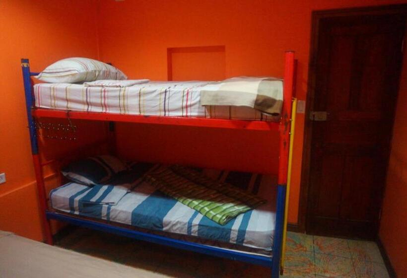 Coral Reef Surf Hostel And Camp