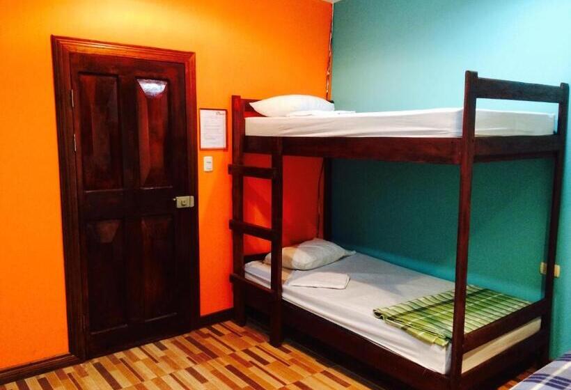 Coral Reef Surf Hostel And Camp