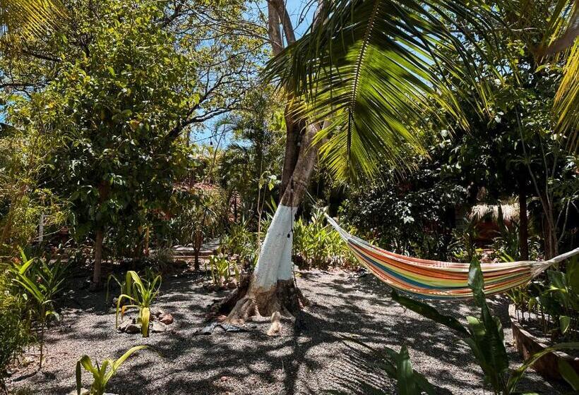 Glamping Hotel Flor Y Bambu