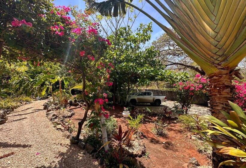 Glamping Hotel Flor Y Bambu