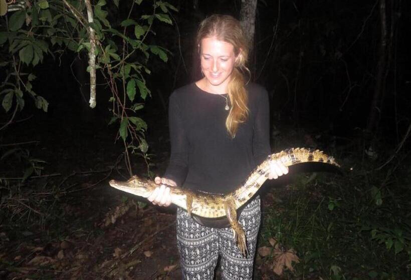 酒店 Amazon House Hostel