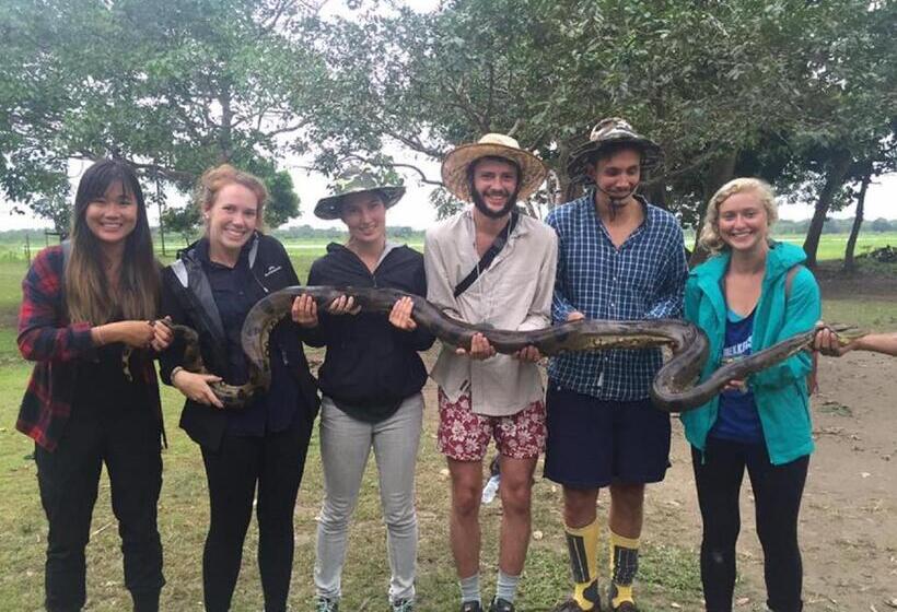 酒店 Amazon House Hostel