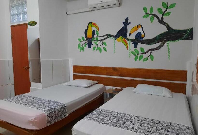 酒店 Amazon House Hostel