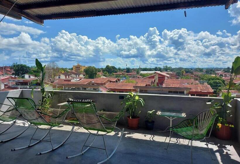 酒店 Amazon House Hostel