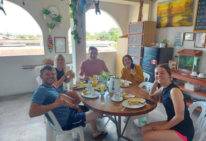 酒店 Amazon House Hostel