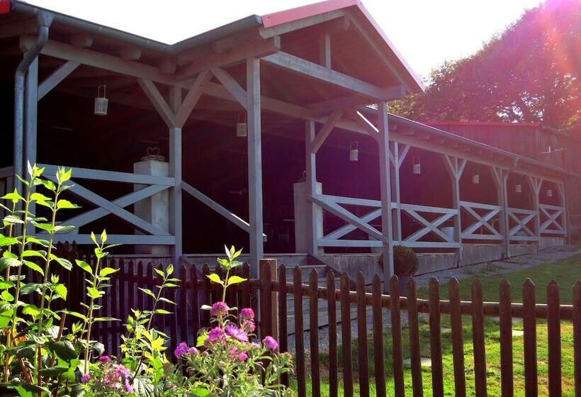 فندق Antoniushutte