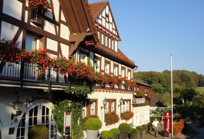 فندق Antoniushutte