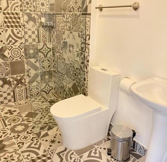 בית מלון כפרי Arenal Vista Lodge