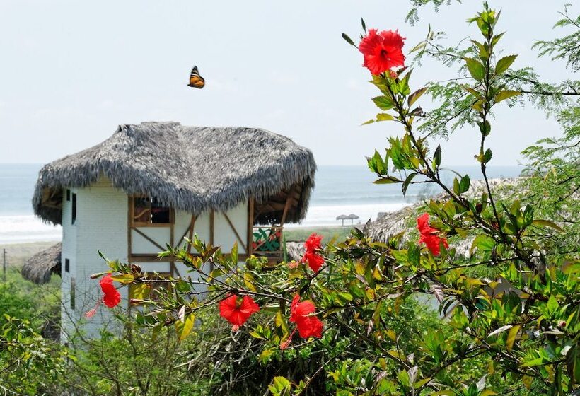 هتل Azuluna Ecolodge