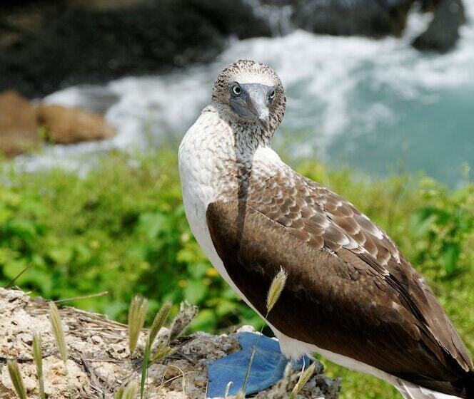 هتل Azuluna Ecolodge