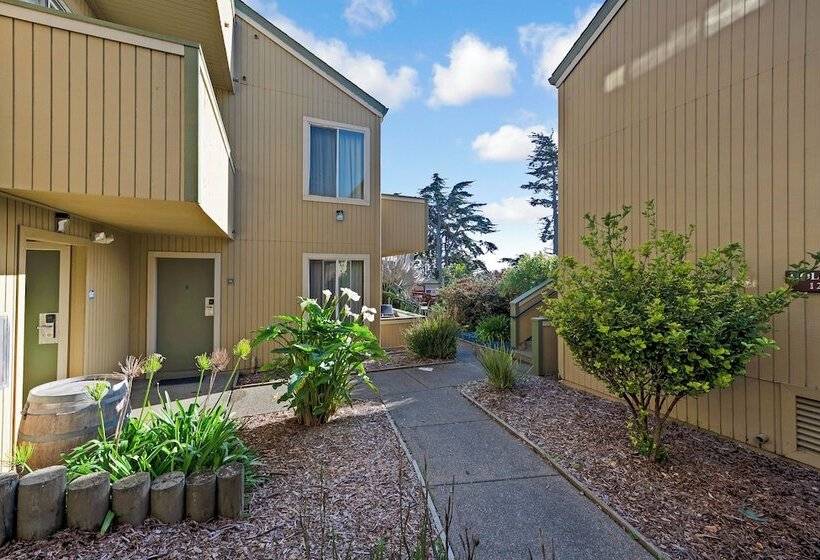 호텔 Bodega Coast Inn And Suites