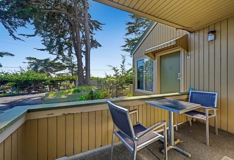 호텔 Bodega Coast Inn And Suites