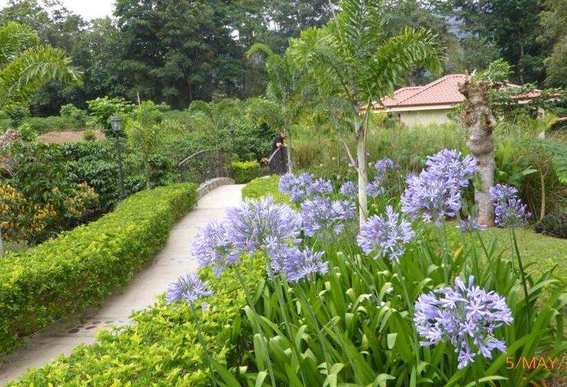 هتل La Casona Del Cafetal