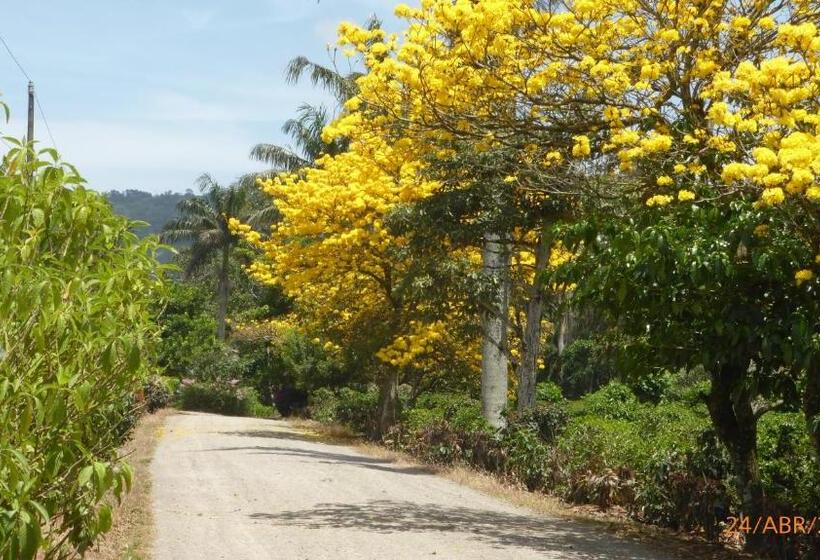 هتل La Casona Del Cafetal