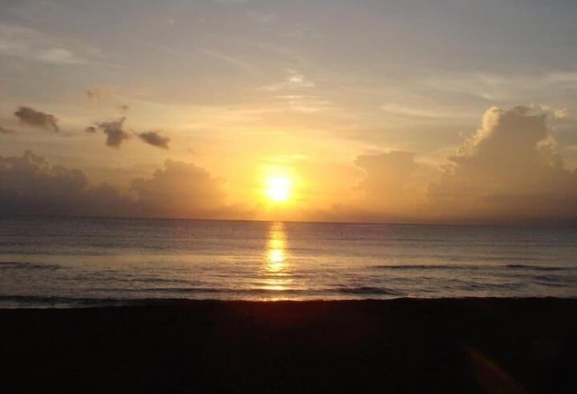酒店 Cabinas Balcon Del Mar Tortuguero