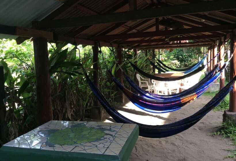 酒店 Cabinas Balcon Del Mar Tortuguero