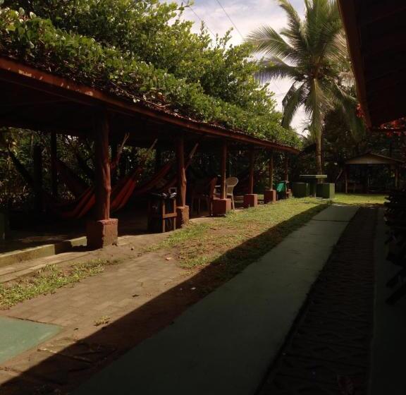 酒店 Cabinas Balcon Del Mar Tortuguero