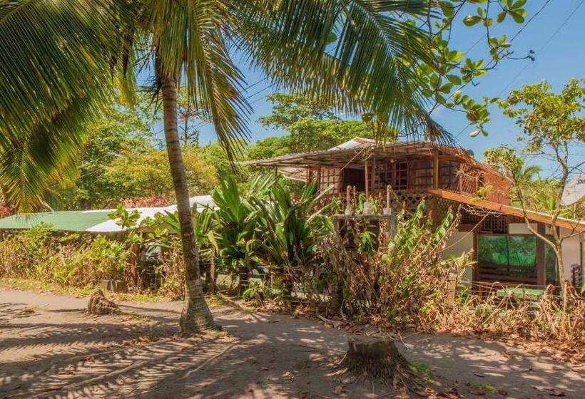 酒店 Cabinas Balcon Del Mar Tortuguero