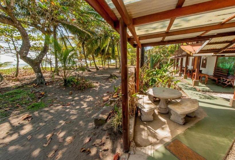 酒店 Cabinas Balcon Del Mar Tortuguero