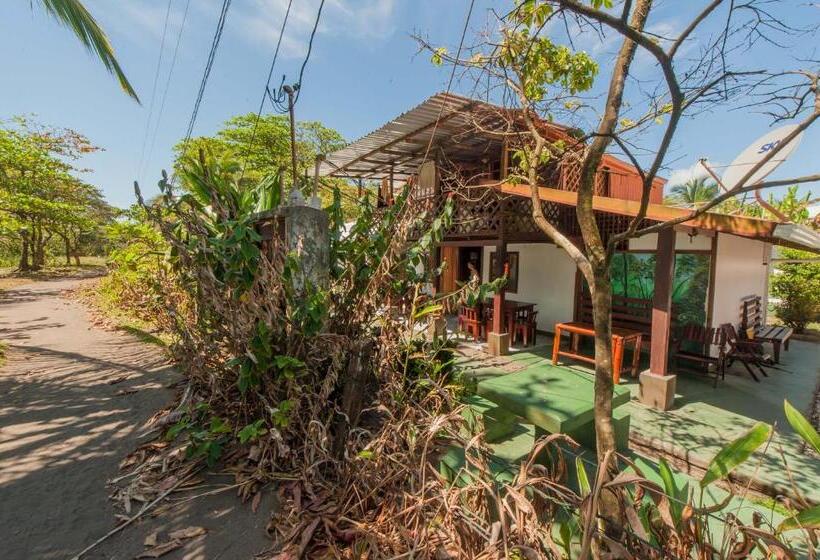 酒店 Cabinas Balcon Del Mar Tortuguero