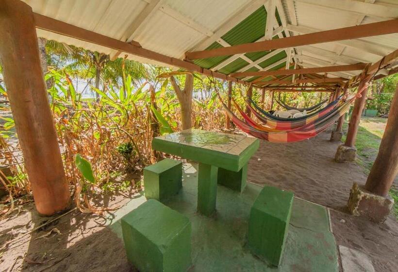 酒店 Cabinas Balcon Del Mar Tortuguero