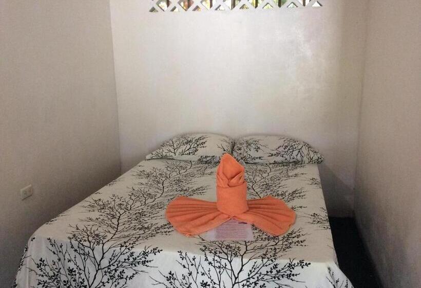 酒店 Cabinas Balcon Del Mar Tortuguero