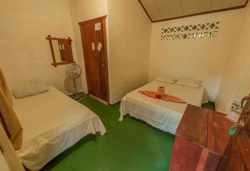 酒店 Cabinas Balcon Del Mar Tortuguero