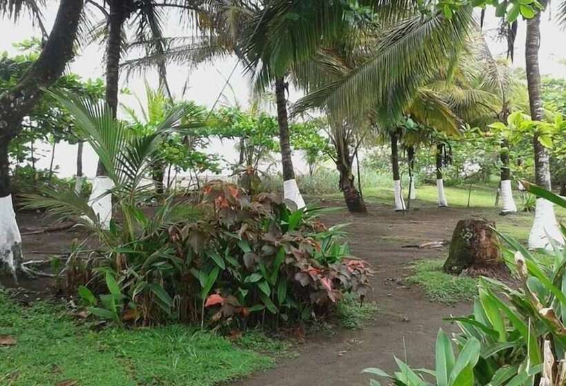 酒店 Cabinas Balcon Del Mar Tortuguero