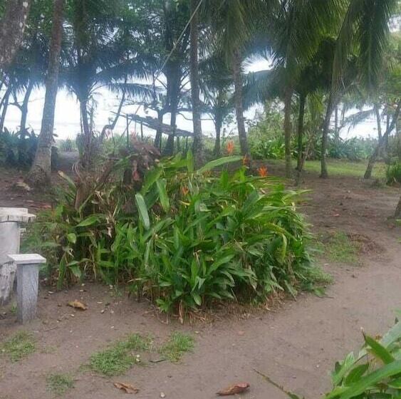 酒店 Cabinas Balcon Del Mar Tortuguero