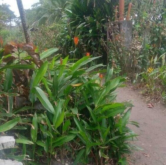 酒店 Cabinas Balcon Del Mar Tortuguero