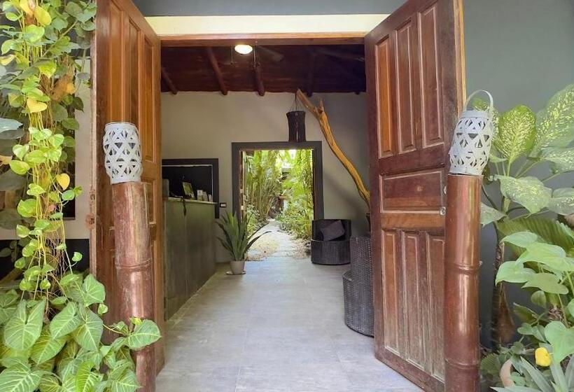 فندق Canaima Chill House