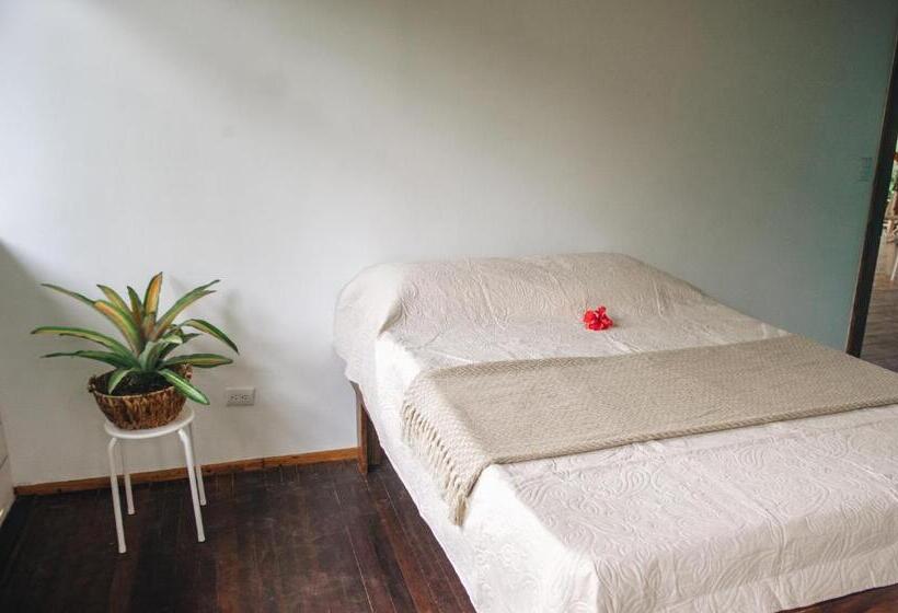 Отель Casa Bohö