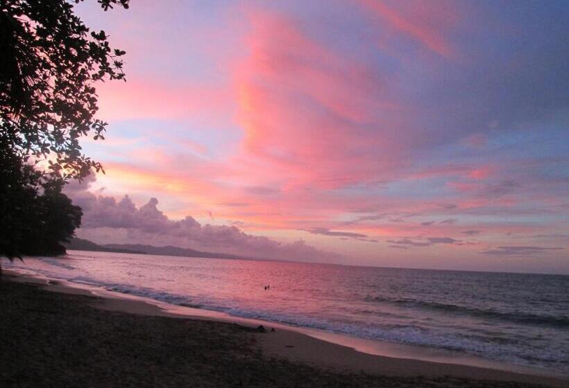 בית מלון כפרי Casa Merlin