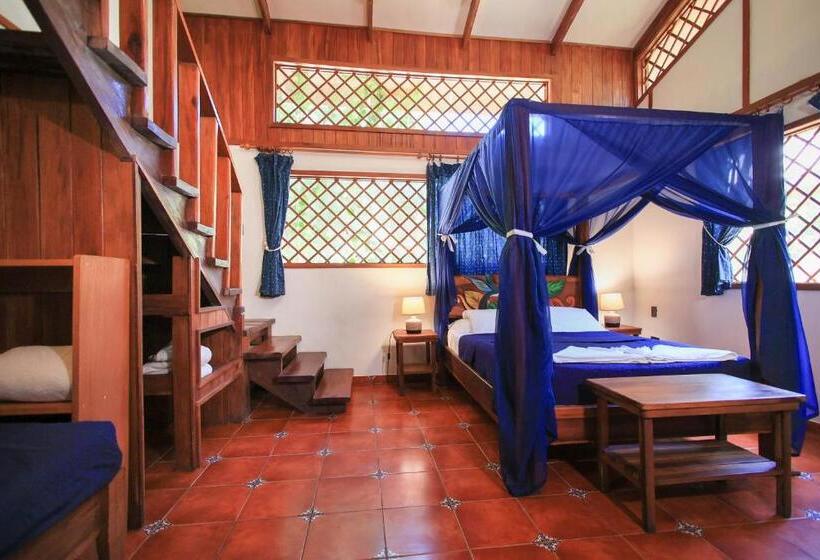 בית מלון כפרי Casa Merlin