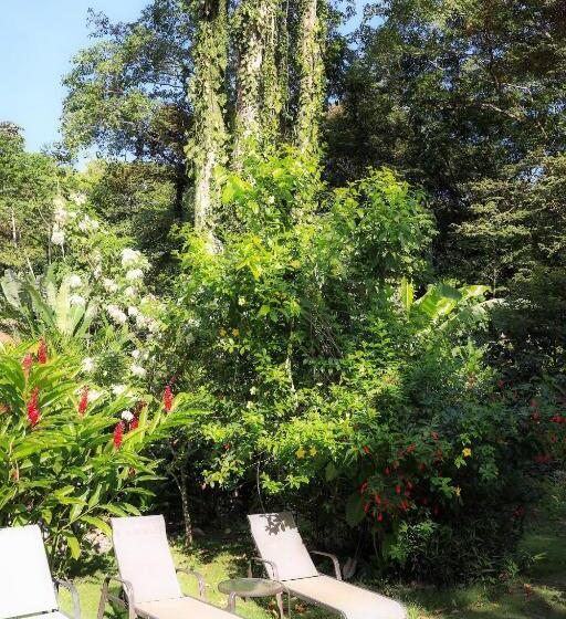 בית מלון כפרי Casa Merlin