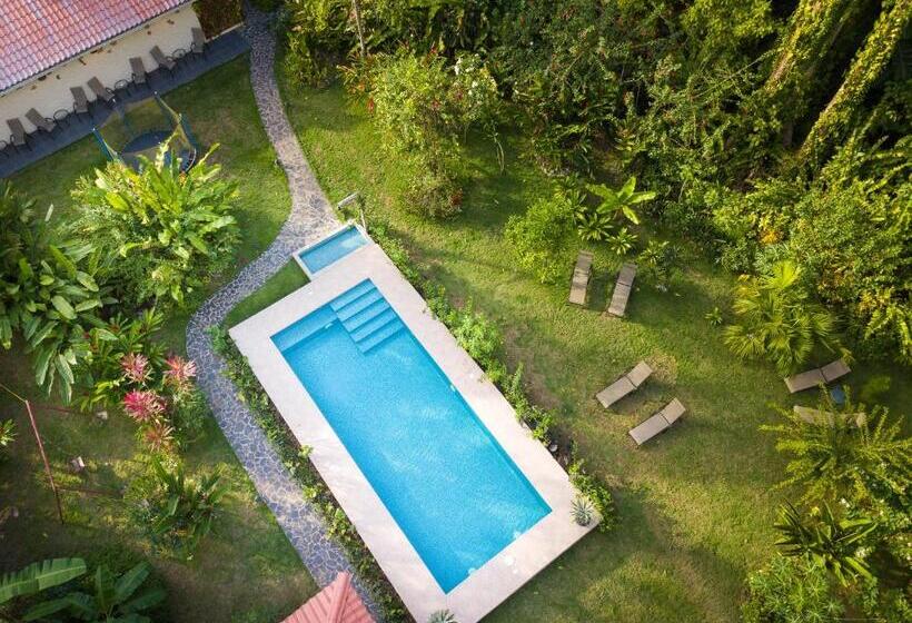 בית מלון כפרי Casa Merlin