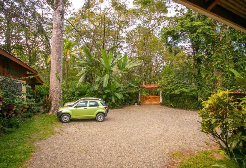 בית מלון כפרי Casa Merlin