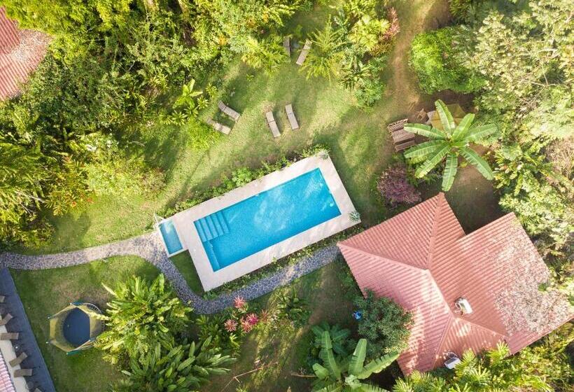 בית מלון כפרי Casa Merlin