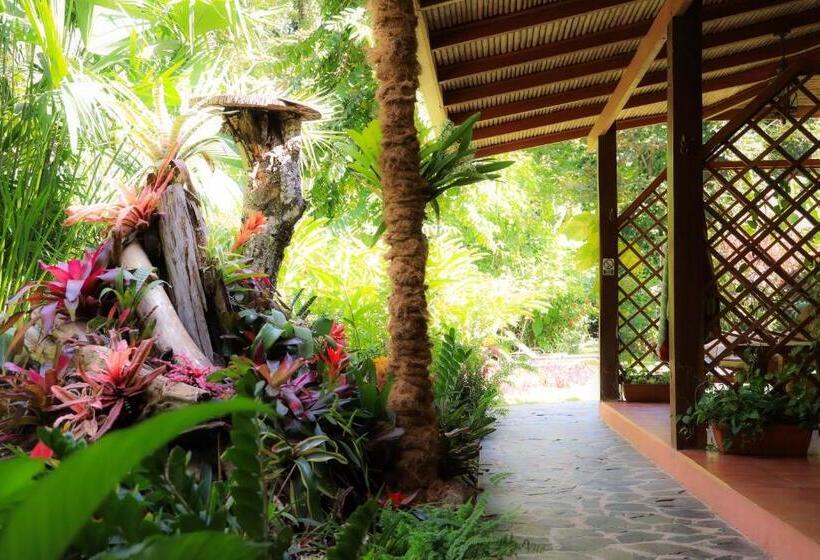 בית מלון כפרי Casa Merlin